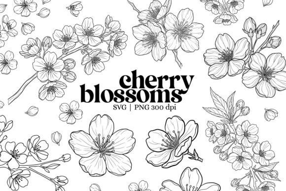 Download Botanical Cherry Blossom Outline Clipart - Blossom Collection
